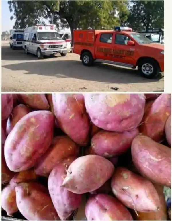 90-year-old Woman Risks Her Life to Save N300 Potatoes in Maiduguri